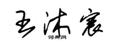朱錫榮王沐宸草書個性簽名怎么寫