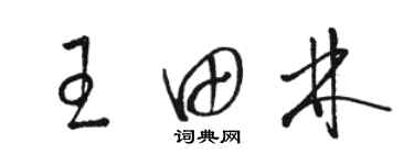 駱恆光王田林草書個性簽名怎么寫