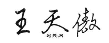 駱恆光王天傲行書個性簽名怎么寫