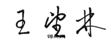 駱恆光王望林草書個性簽名怎么寫