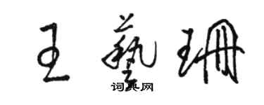 駱恆光王藝珊草書個性簽名怎么寫