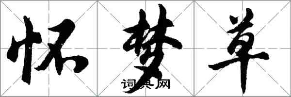 胡問遂懷夢草行書怎么寫