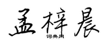 王正良孟梓晨行書個性簽名怎么寫