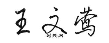 駱恆光王文鶯行書個性簽名怎么寫