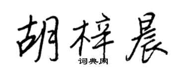 王正良胡梓晨行書個性簽名怎么寫
