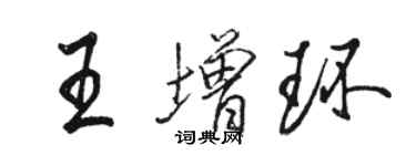 駱恆光王增環行書個性簽名怎么寫