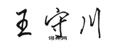 駱恆光王守川行書個性簽名怎么寫