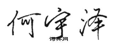 駱恆光何宇澤行書個性簽名怎么寫