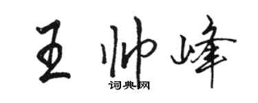 駱恆光王帥峰行書個性簽名怎么寫