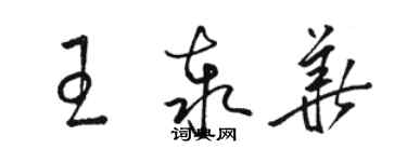 駱恆光王泰華草書個性簽名怎么寫