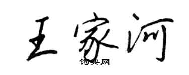王正良王家河行書個性簽名怎么寫