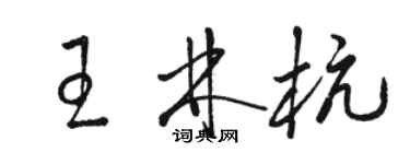駱恆光王林杭草書個性簽名怎么寫