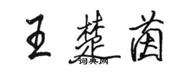 駱恆光王楚茵行書個性簽名怎么寫