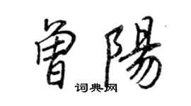 王正良曾陽行書個性簽名怎么寫