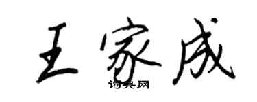 王正良王家成行書個性簽名怎么寫