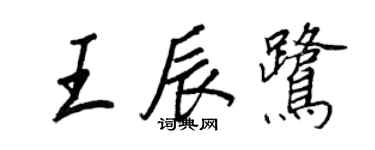 王正良王辰鷺行書個性簽名怎么寫