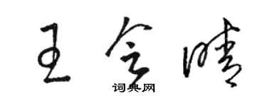 駱恆光王會晴草書個性簽名怎么寫