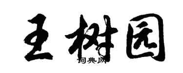 胡問遂王樹園行書個性簽名怎么寫
