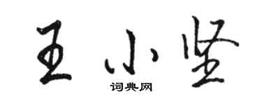 駱恆光王小堅行書個性簽名怎么寫