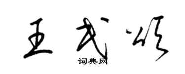 梁錦英王民頌草書個性簽名怎么寫