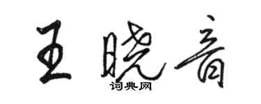 駱恆光王曉音行書個性簽名怎么寫