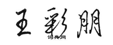 駱恆光王彩朋行書個性簽名怎么寫