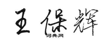 駱恆光王保輝行書個性簽名怎么寫