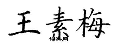 丁謙王素梅楷書個性簽名怎么寫