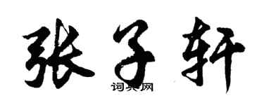 胡問遂張子軒行書個性簽名怎么寫