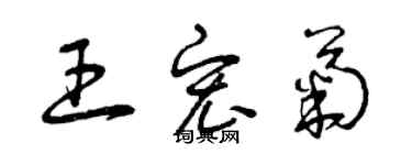 曾慶福王宏菊草書個性簽名怎么寫