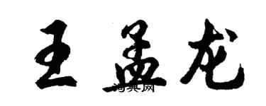 胡問遂王孟龍行書個性簽名怎么寫