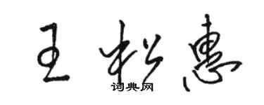 駱恆光王松惠草書個性簽名怎么寫