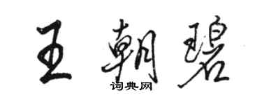 駱恆光王朝碧行書個性簽名怎么寫