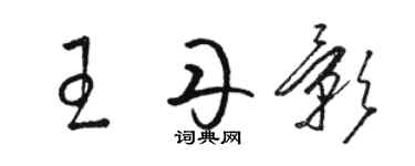 駱恆光王丹影草書個性簽名怎么寫