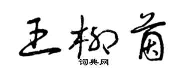 曾慶福王柳茵草書個性簽名怎么寫