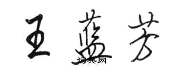 駱恆光王藍芳行書個性簽名怎么寫