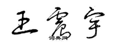 曾慶福王震宇草書個性簽名怎么寫