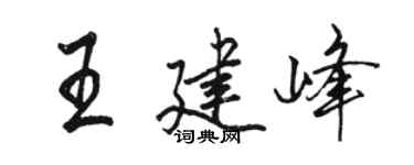駱恆光王建峰行書個性簽名怎么寫