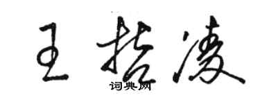 駱恆光王哲凌草書個性簽名怎么寫