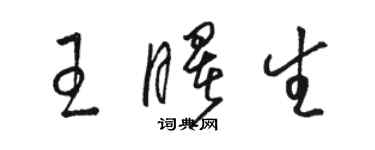 駱恆光王曙生草書個性簽名怎么寫