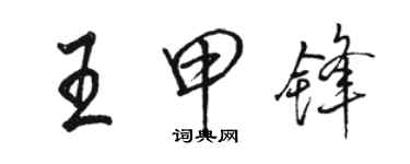 駱恆光王甲鋒行書個性簽名怎么寫