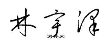 梁錦英林宇澤草書個性簽名怎么寫