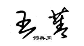 朱錫榮王菁草書個性簽名怎么寫