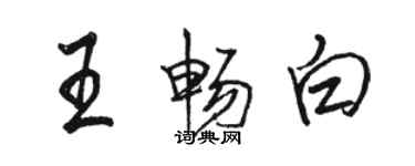 駱恆光王暢白行書個性簽名怎么寫