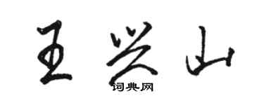 駱恆光王興山行書個性簽名怎么寫