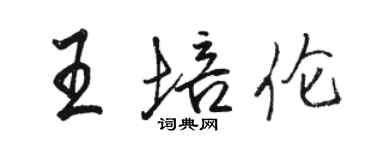 駱恆光王培倫行書個性簽名怎么寫