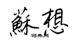 王正良蘇想行書個性簽名怎么寫