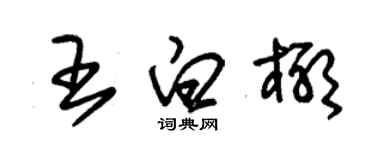 朱錫榮王白椰草書個性簽名怎么寫