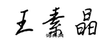 王正良王素晶行書個性簽名怎么寫