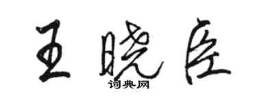 駱恆光王曉臣行書個性簽名怎么寫